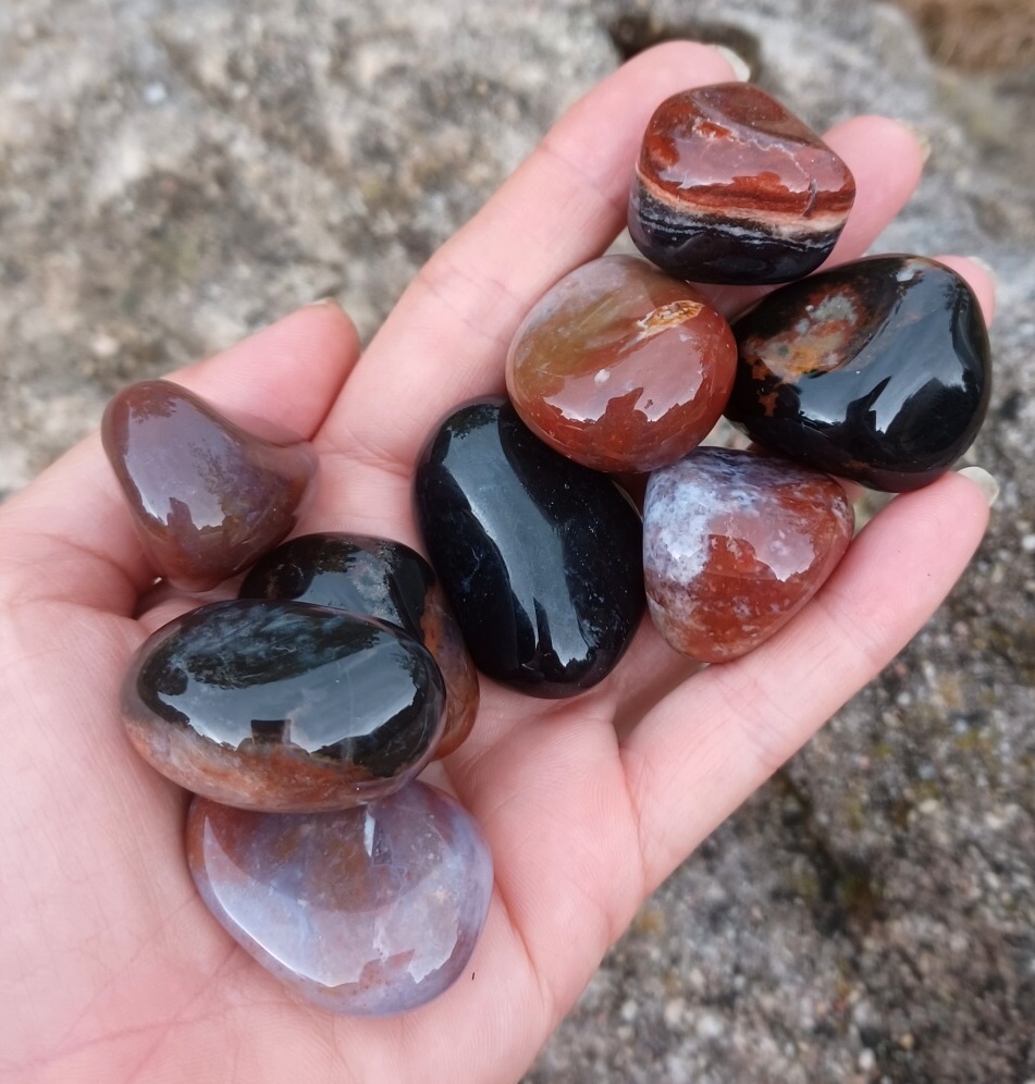 Sardonyx L-XL