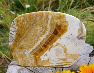 Aragonit leštěný řez 435g