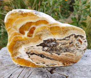 Aragonit leštěný řez 780g