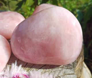 Růženín 490g